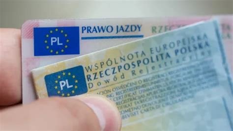 kupienie prawa jazdy kat b